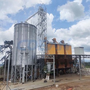 Silo de Acero Galvanizado de 275-600 g/m2 para Cereales, Silo Metálico Inteligente de 100-5000 Toneladas para Almacenamiento de Trigo, Granos y Maíz - Product Image 3