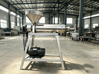 Machine d'extrusion de vermicelles de tapioca et de patate douce 100 kg/h du fournisseur chinois à prix compétitifs