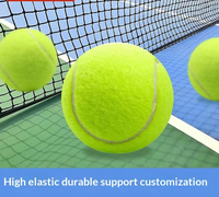 Lot de 10 balles de tennis d'entraînement haute élasticité durables pour la pratique sportive – Vente directe et production