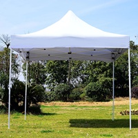 Prix d'usine Tente de jardin en bâche imperméable en PVC avec poteaux en acier Capacité de 6 à 8 personnes Toutes saisons Camping en plein air et ombrage de jardin