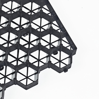 Grille de pelouse de verdissement de pente en HDPE de meilleure qualité pour l'aménagement paysager de parking