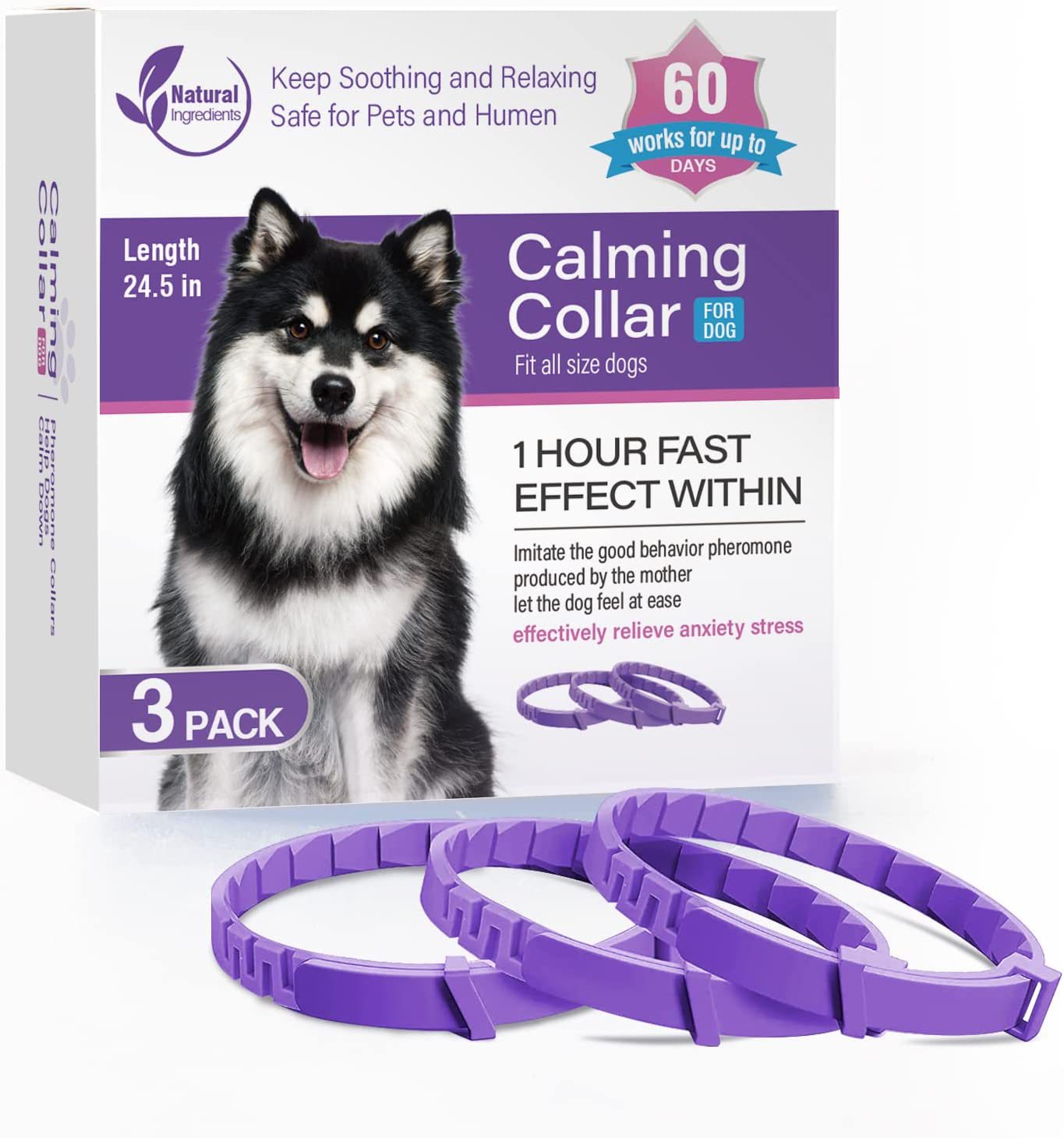 3 pièces chien violet