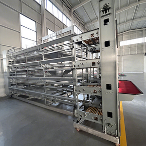 Entrega rápida tipo H jaulas de capa huevo pollo equipo de granja avícola con sistema de limpieza fecal - Product Image 1