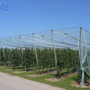 Raspberry Anti Hail Net pertanian Hail perlindungan bersih Anti hujan es bersih untuk Apel
