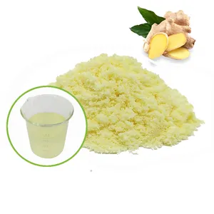 Pincredt Hot Bán Gừng Chiết Xuất Từ Rễ Gingerol 1% 5% 20% 40% Bột