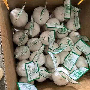 <span class=keywords><strong>Ail</strong></span> frais biologique standard, petits paquets de 3/5 pièces, tressé, pour les chaînes de distribution au détail - Product Image 4