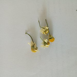 Venta en Línea de Flores de Manzanilla, Té de Manzanilla en Oferta de Proveedores Chinos - Product Image 6