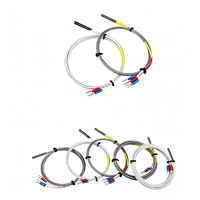 Sonde de température PT100, thermocouple K, sonde de température simple, 4*40mm, aiguille en acier inoxydable, résolution 0,1°C, OEM ODM