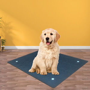 <span class=keywords><strong>Tapis</strong></span> de sol pour animaux de compagnie, <span class=keywords><strong>chat</strong></span> <span class=keywords><strong>et</strong></span> <span class=keywords><strong>chien</strong></span>, personnalisés, imprimés, fabriqués à la machine, lavables, réutilisables, pliables, imperméables, doux, antidérapants, en PVC, pour la maison - Product Image 6