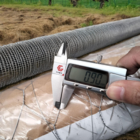 Grillage tissé électrogalvanisé avec revêtement PVC vert, rouleau de 2 m de hauteur pour cages à animaux et enclos d'aviaries