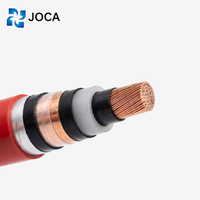 Cable de Alimentación Blindado con Aislamiento XLPE Estándar Europeo JOCA N2XSY NA2XSY para Distribución de Energía