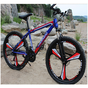 Bicicletta olandese a 24 pollici alla moda di vendita calda di stile per le donne/bicicletta della signora/bici della città dalla fabbrica della cina - Product Image 5