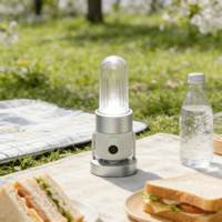 Lampe à bouteille magnétique multifonctionnelle, lanterne de camping LED portable, lampe suspendue rétro pour l'extérieur, ambiance et éclairage d'urgence