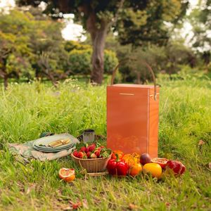 กล่องเก็บความเย็นแบบพกพา ขนาด 10 ลิตร สำหรับตกปลา ปิกนิก บาร์บีคิว และตั้งแคมป์ - ตู้เย็นแบบมือถือพร้อมช่องเก็บกระป๋อง - Product Image 1