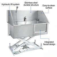 Station de lavage professionnelle pour chiens en acier inoxydable 304 robuste pour salon de toilettage et jardin