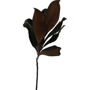 2023 nuevo producto preservado <span class=keywords><strong>Magnolia</strong></span> <span class=keywords><strong>Grandiflora</strong></span> flor hoja plástico Mesa decoración boda centro de mesa Día de la madre graduación - Product Image 2