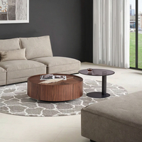 Table basse de style italien minimaliste moderne et durable avec rangement, combinaison de couleurs noyer, pour petit appartement, mobilier de salon