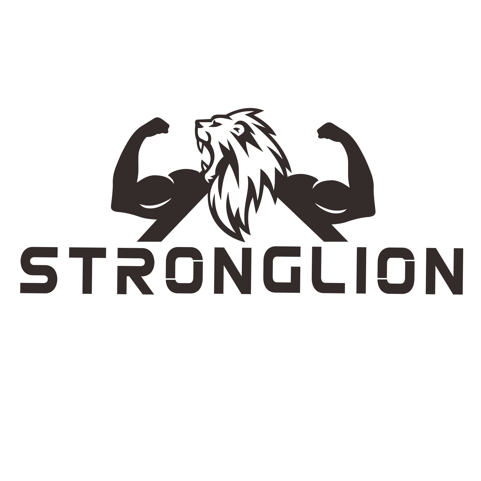 Hangzhou Strong Lion New Material Co., Ltd logo