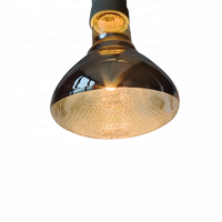 Lampe chauffante infrarouge à économie d'énergie, ampoule d'élevage 100W 150W 200W 250W, lampe chauffante pour animaux de compagnie, poulets, porcs, animaux