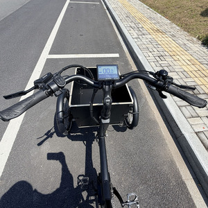 Triciclo <span class=keywords><strong>El</strong></span>éctrico de Última Generación con Marco de Aleación y Carrocería Abierta, Batería de 48V, Frenos Hidráulicos, Motor de 250W, Autonomía de 55-60KM, 1 <span class=keywords><strong>Pasajero</strong></span> - Product Image 4