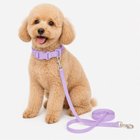 Collier et laisse pour animaux de compagnie en PVC imperméable, personnalisés, de luxe, avec accessoires en alliage et cuir, vente en gros pour chats et chiens, avec décorations à rivets