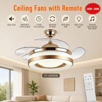 Ventilador de Techo con Aspas Transparentes de Nuevo Diseño, con Luz y Control de Velocidad Integrado, Control de Pared con Interruptor de Luz