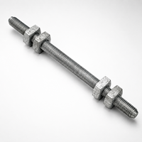 Boulon à double armature, vente en gros usine, robuste, galvanisé à chaud, testé par pulvérisation de sel, pour double traversée et joint de support en acier