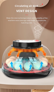 Incubadora de Huevos Inteligente con Volteo Automático, Probador LED, Pantalla Digital de Humedad <span class=keywords><strong>para</strong></span> Huevos de Aves, Gansos y Patos - Product Image 2