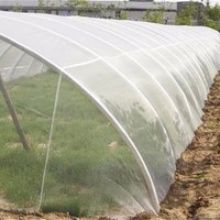 Filet anti-insectes stabilisé aux UV 100% nouvelle maille écran de Protection contre les mouches des fruits tomate protéger la maille anti-insectes
