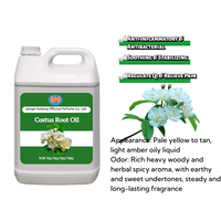 Huile de Costus 100% Pure en Gros pour Soins Corporels – Huile Essentielle en Vrac à Prix Avantageux – Huile de Racines de Costus