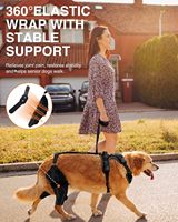 Attelle de genou pour chien antidérapante et réglable, coussinets de protection pour les articulations, attelle ACL CCL pour déchirure du membre arrière, soutien de la rotule luxée