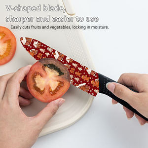 Nuevo Diseño, 5 Juegos de Vajilla de Cerámica Estilo Japonés, Apta para Lavavajillas, Fabricada en Fábrica, Entrega Rápida, Tienda de Comercio Electrónico Shopify - Product Image 5