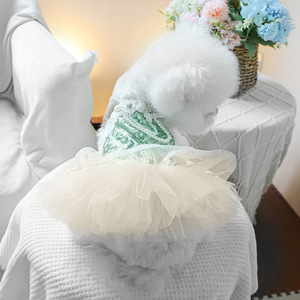 PETCIRCLE Ropa de Primavera/Verano para Perros y Gatos - Vestido Mint Mambo - Product Image 1