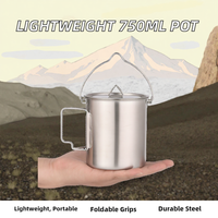 Marmite de camping légère en acier inoxydable 750 ml avec poignée pliable, ustensile de cuisson portable pour la randonnée, le pique-nique et le trekking