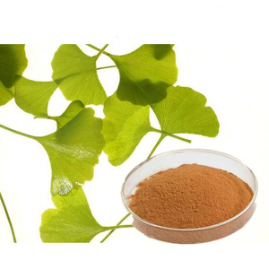 Chiết Xuất Từ <span class=keywords><strong>Ginkgo</strong></span> <span class=keywords><strong>Biloba</strong></span> Flavone Glycosides 24% Terpene Lactone 6% - Product Image 5
