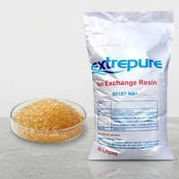 Résine échangeuse de cations à acide fort Extrepure 25L (forme sodique 001x7) |   Média adoucissant haute capacité pour le traitement du calcaire