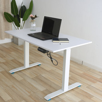 Venta al por mayor Durable Oficina Mesa de pie eléctrica Ergonómico Eléctrico Inteligente arriba y abajo Escritorio de juegos