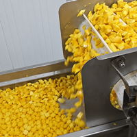 1000kg/uur Fries Fruit Snelle Continue Bandtransportband Tunnel Industriële Vriesinstallatie Vloeibaarbed IQF Vriesmachine