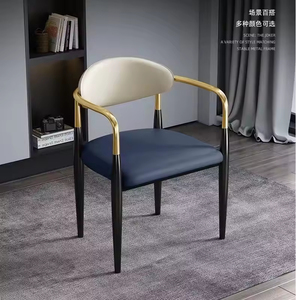 Tavoli da Tè e da Pranzo Moderni e Semplici di Alta Gamma, Sedie di Lusso con Schienale per Negoziazioni, Arredamento di Lusso Leggero per la Casa - Product Image 4