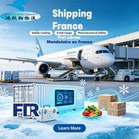 Agente de envío Francia Flete aéreo Nantes Lyon-Aeropuerto de Saint Exupéry Flete Agente de envío aéreo Flete Envío Ddp
