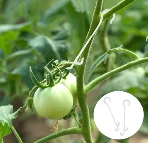 番茄支撑夹番茄蔬菜支撑j钩夹，防止番茄夹住或脱落