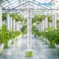 Système de culture hydroponique extensible Tru-Spring, 3 à 13 niveaux, agriculture verticale, jardin intérieur, commercial, sur mesure, vente en gros