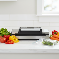 Scelleuse alimentaire électrique automatique portative en acier inoxydable avec protection contre la surchauffe, mini scelleuse sous vide domestique