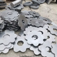 Crible à rouleaux avec disques résistants à l'usure NM500, boîte de vitesses et moteur en forme de fleur de prunier pour le criblage de minerai