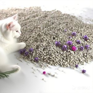 Arena para gatos de bentonita de primera calidad, superaglomerante, bajo control de polvo y olores, absorción rápida - Product Image 2