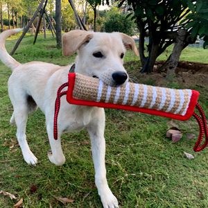 2024 nuevo producto, juguete masticable interactivo para perros chirriantes, mordedura de cachorro, juguete para perros chirriantes, mordedura de juguete para masticar para perros - Product Image 4