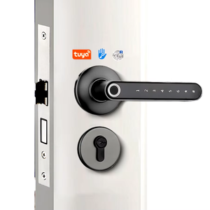 Serrure de porte intelligente à poignée tactile en alliage de zinc pour porte en bois, déverrouillage par empreinte digitale, code, clé, WiFi sans fil, alimentation par batterie, stockage cloud - Product Image 1