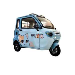 Penjualan Terbaik Cina 60v 1000W penumpang listrik tertutup becak untuk taksi sertifikasi CCC - Product Image 6