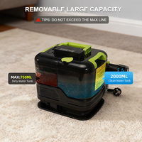 Nettoyeur de tapis à vapeur professionnel portable pour nettoyage humide et sec des tapis, des tissus, des tissus d'ameublement et des canapés