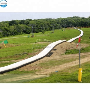 Crazy and Popular Custom <b>Inflatable</b> <b>Water</b> N <b>Slide</b> for Adult CS-002 <b>Inflatable</b> N <b>Slide</b> for Adult Crazy and Popular Custom in - Product Image 5